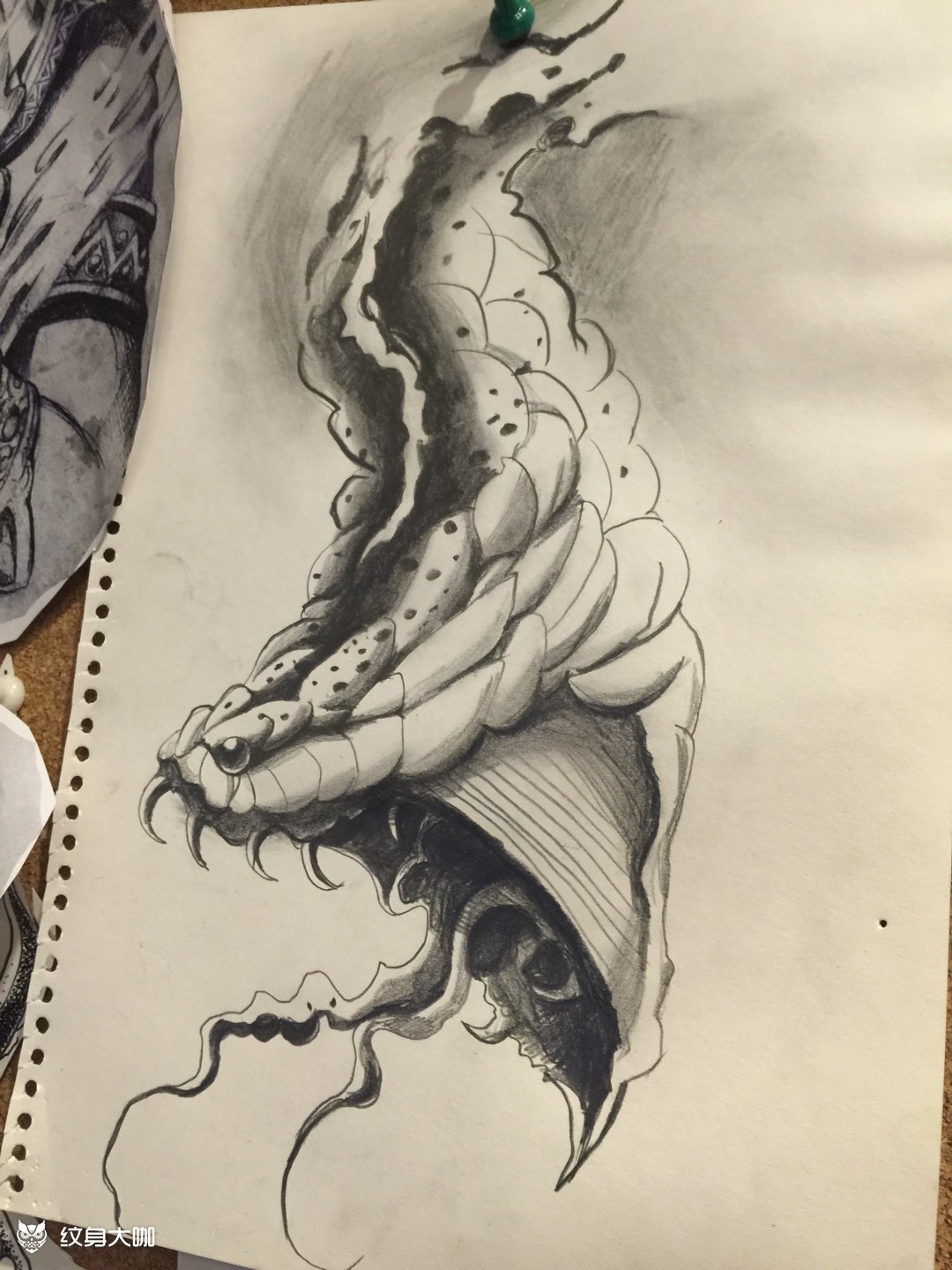 蛇头速写_纹身图案手稿图片_魟tattoo的纹身作品集