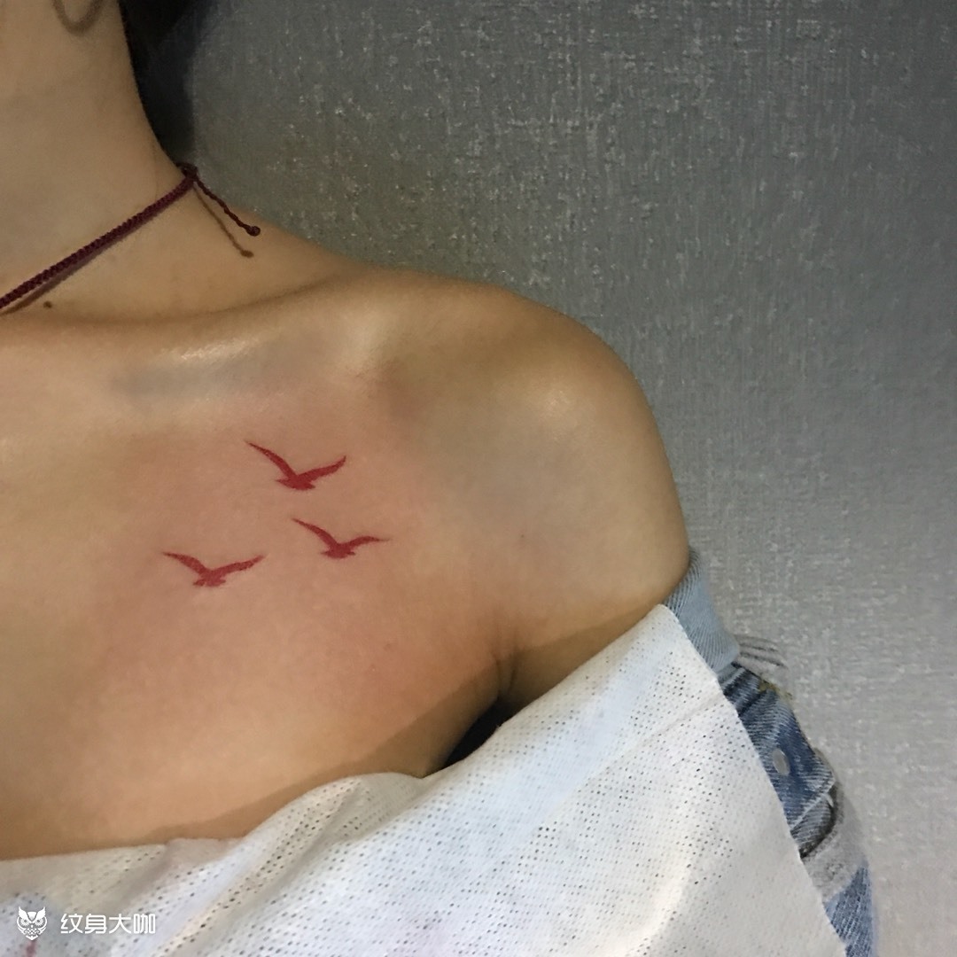 海鸥_纹身图案手稿图片_小雨的纹身作品集