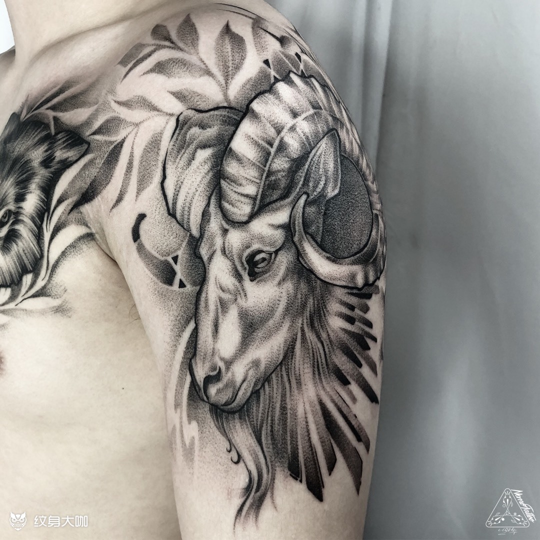 山羊 点刺_纹身图案手稿图片_尼莫(nemo)的纹身作品集