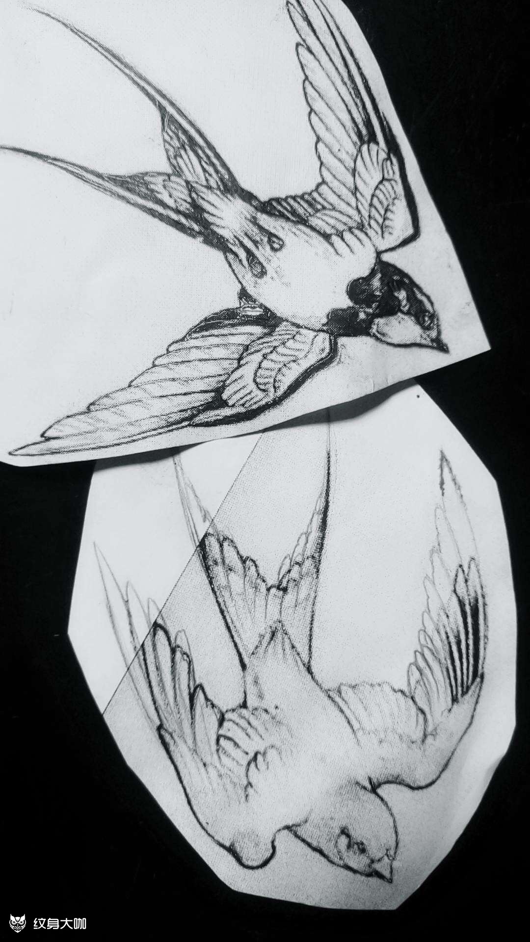 燕子飞_纹身图案手稿图片_曾乐的纹身作品集