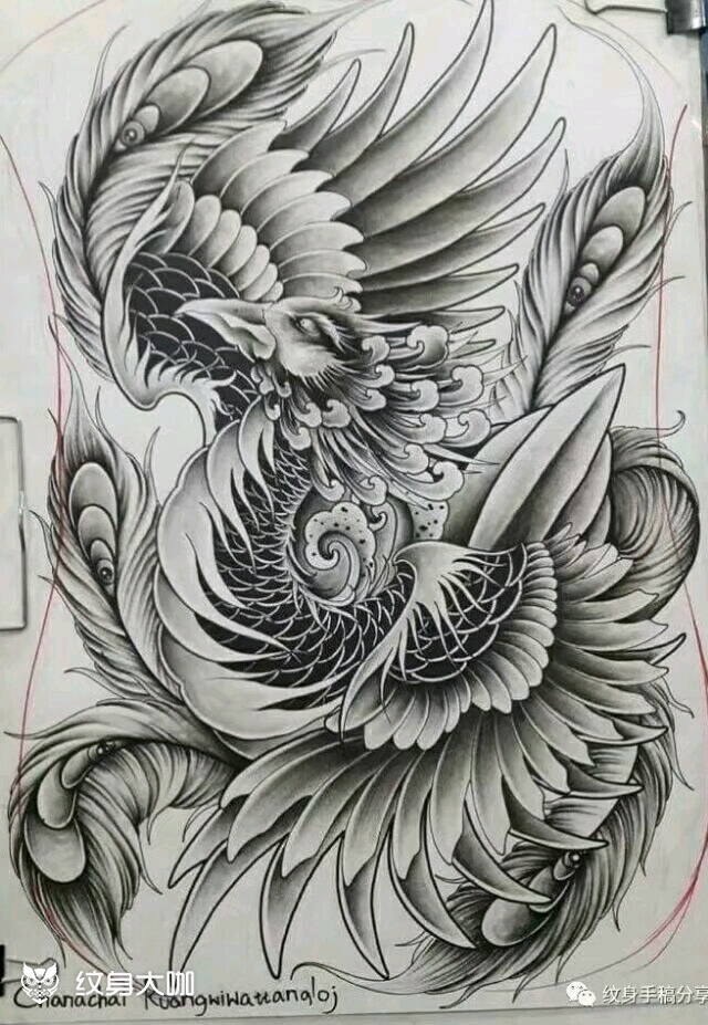 凤凰_纹身图案手稿图片_永义堂~羽的纹身作品集