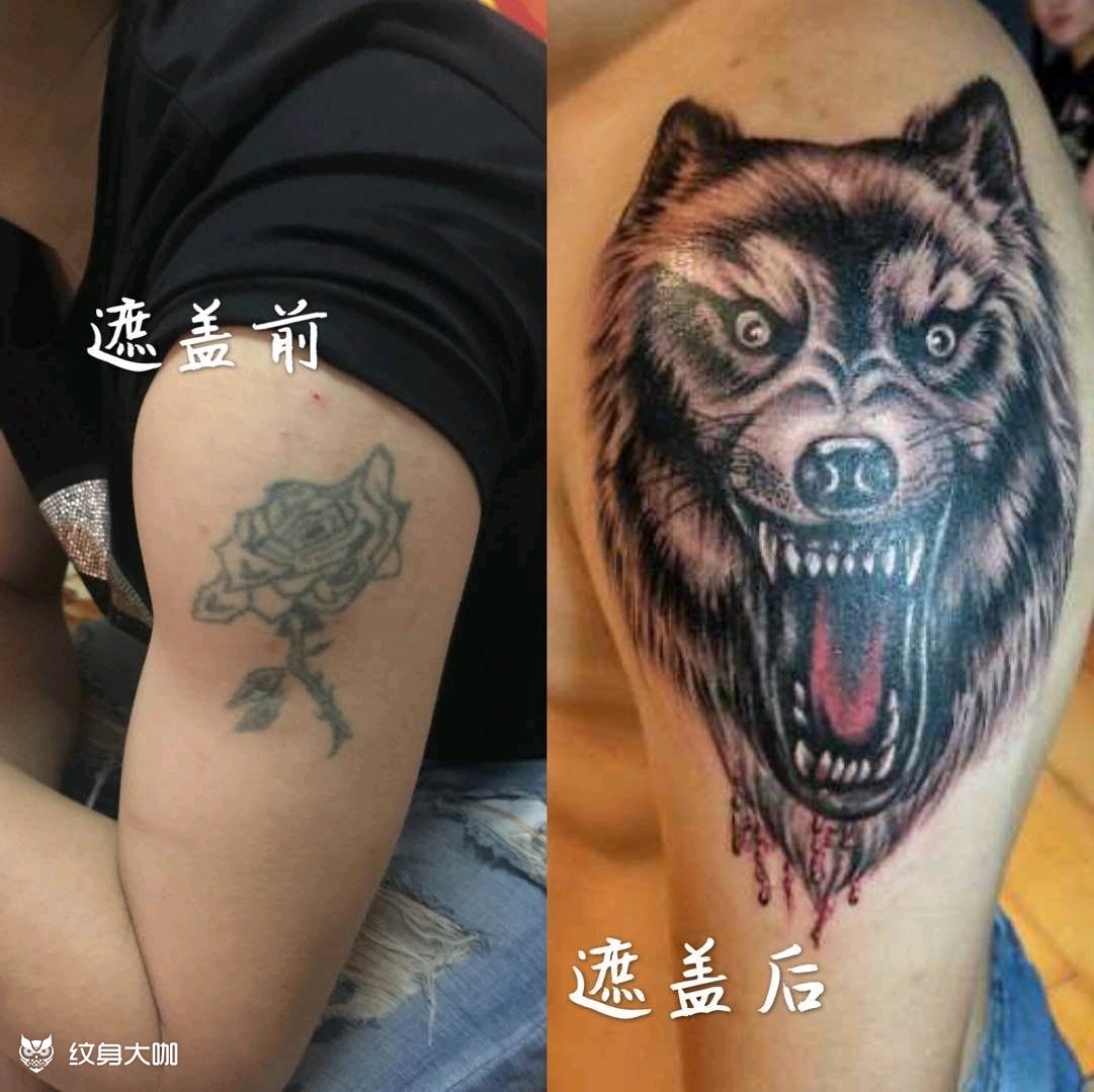 滴血狼头遮盖老纹身