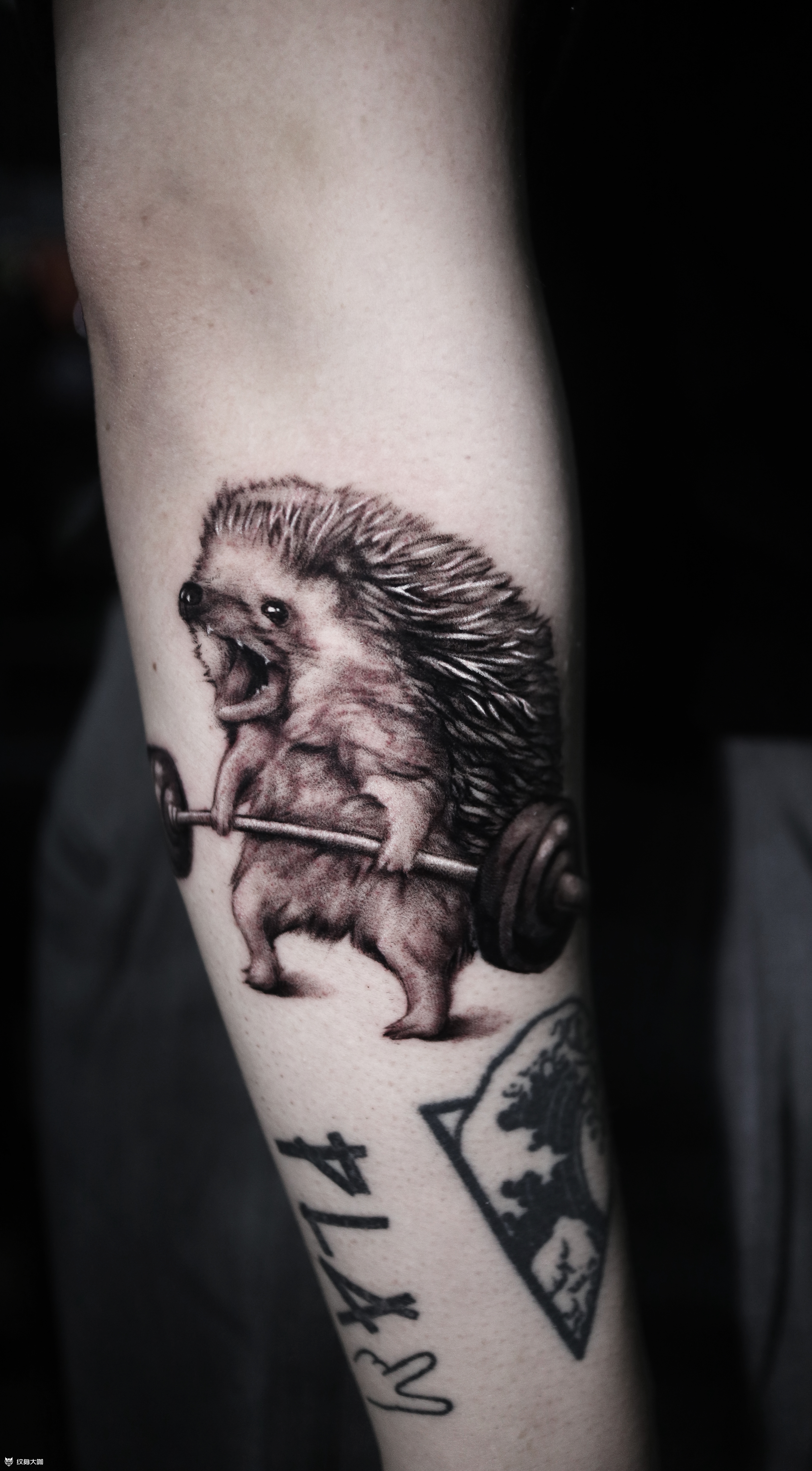 硬拉刺猬_纹身图案手稿图片_覌正的纹身作品集
