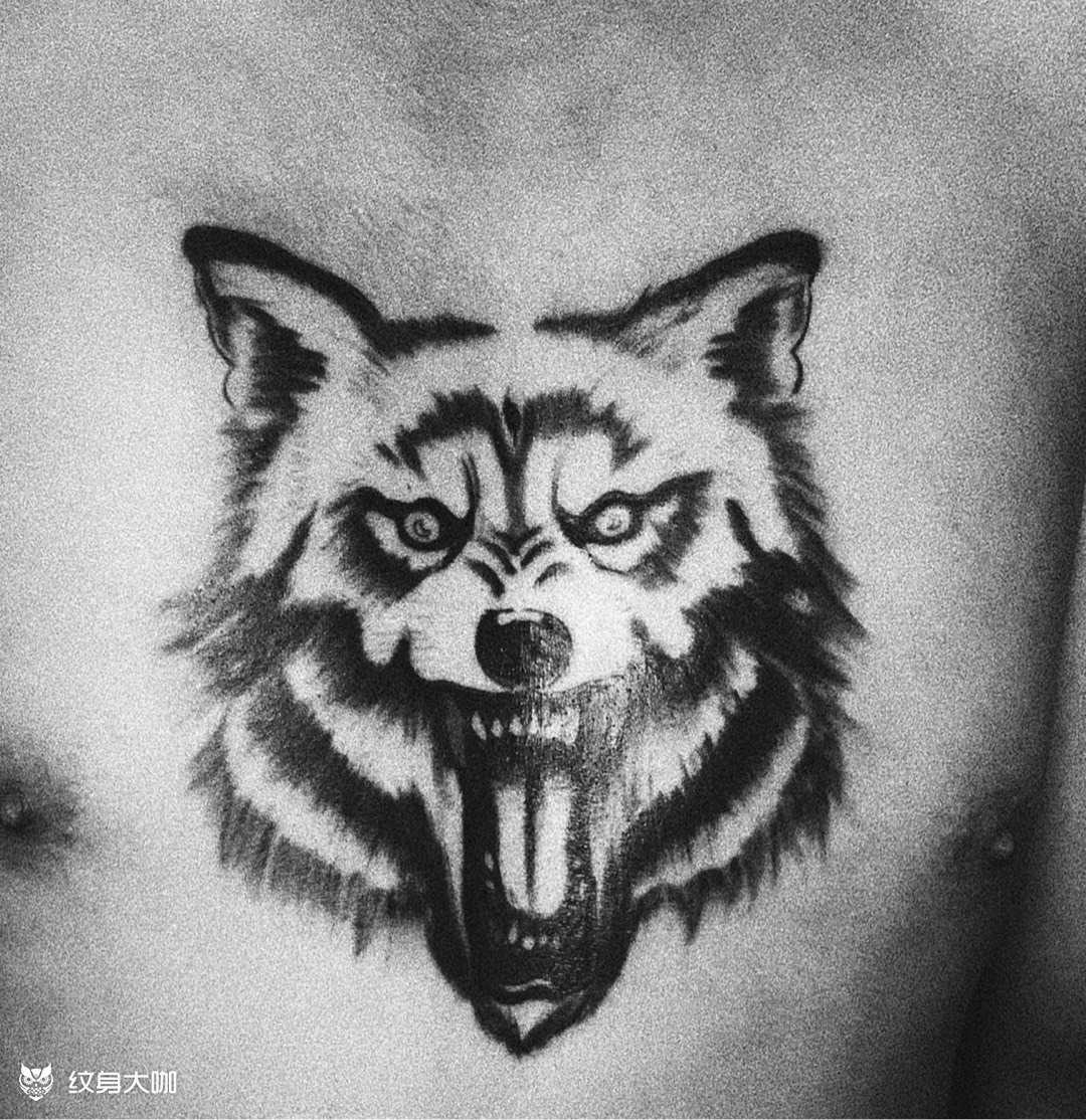 胸部狼头_纹身图案手稿图片_拾柒的纹身作品集