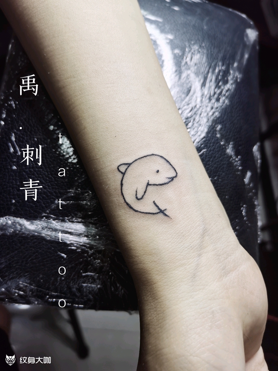 海豚_纹身图案手稿图片_刘禹志的纹身作品集