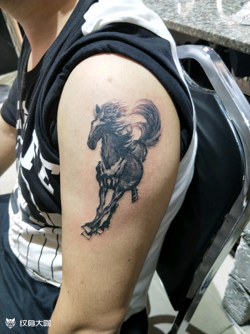 马_纹身图案手稿图片_江龙的纹身作品集