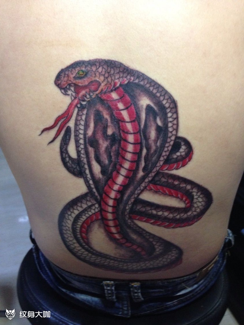 眼镜王蛇_纹身图案手稿图片_王金锁的纹身作品集