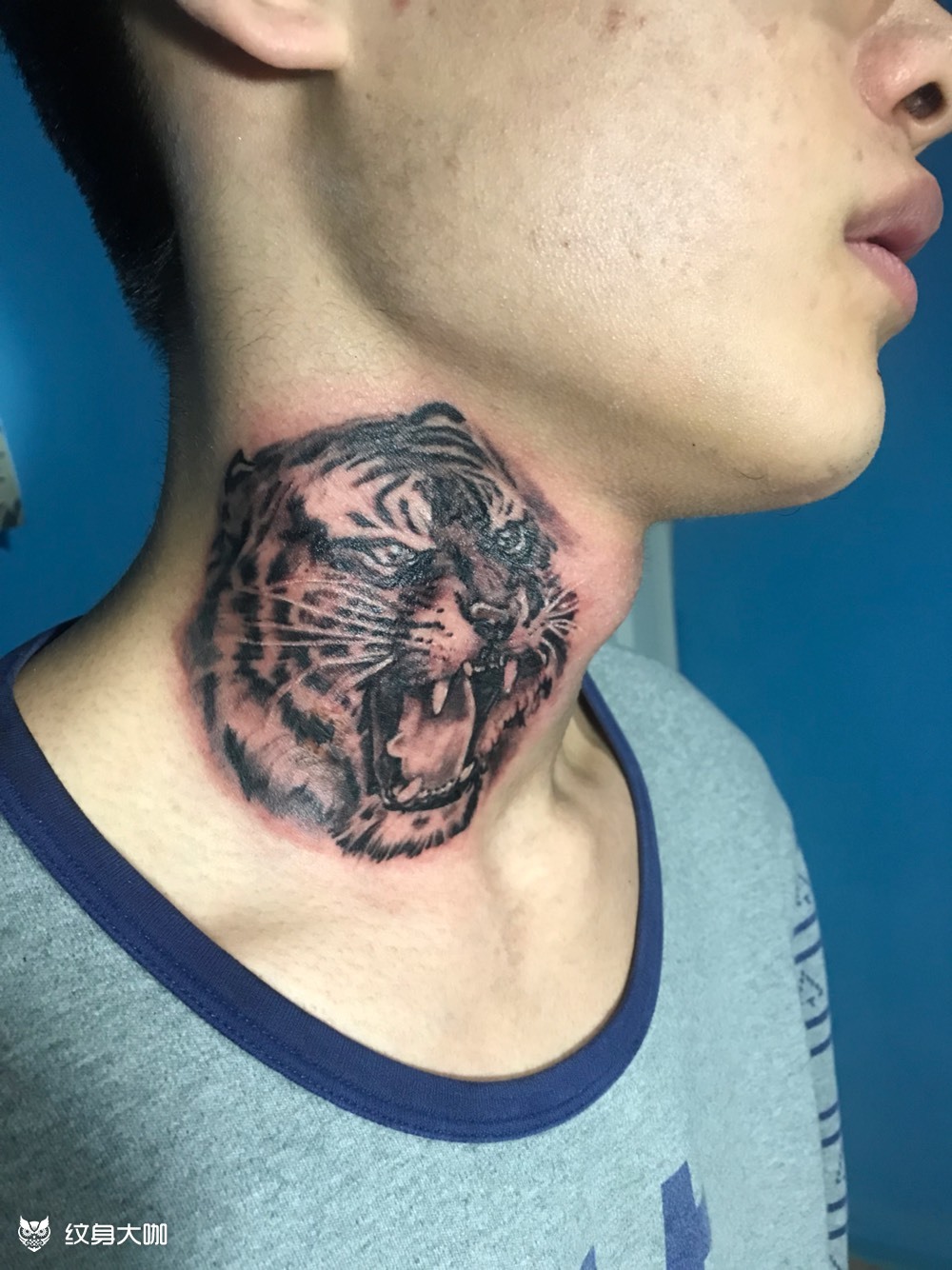 遮盖虎头_纹身图案手稿图片_田三木的纹身作品集