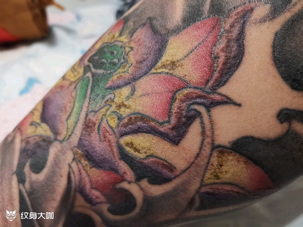 内测花刚纹完第二天 打了麻药_纹身吧社区 - 纹身大咖