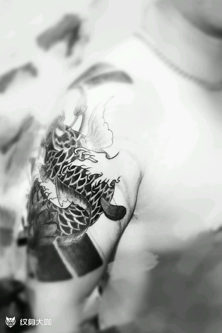鲤鱼,下次接半甲_纹身图案手稿图片_尐冷的纹身作品集