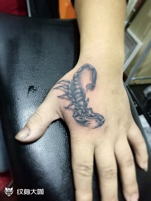 女生手臂纹身图案蝎子图片
