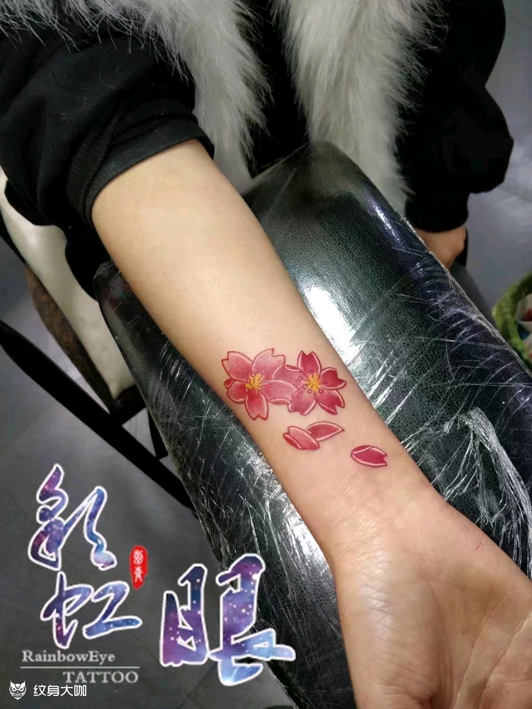 樱花小清新_纹身图案手稿图片_青白江彩虹眼–猫爷的纹身作品集