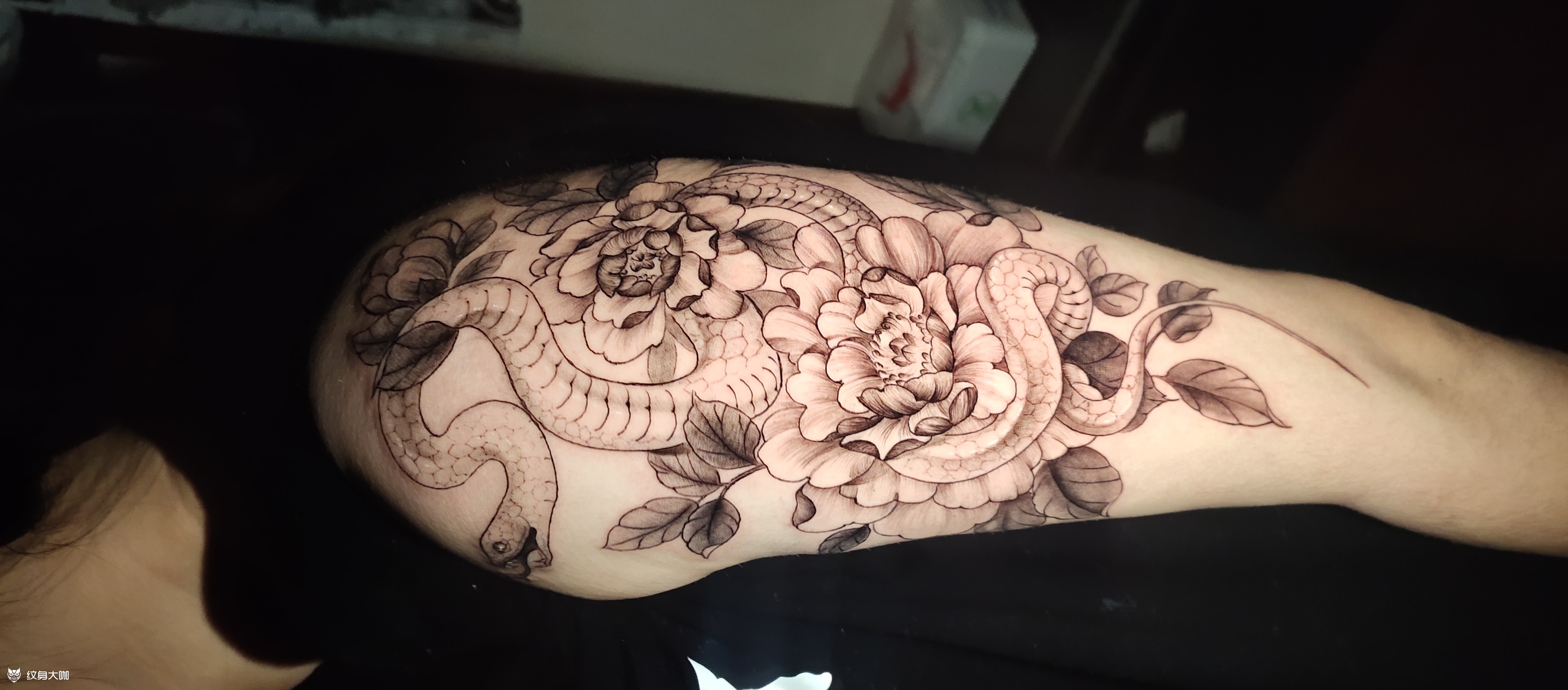 蛇缠牡丹_纹身图案手稿图片_薛万强的纹身作品集