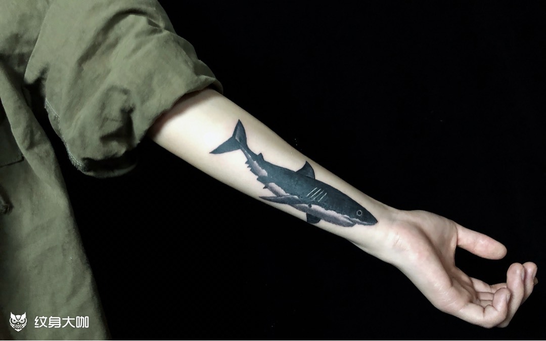 好看的鲨鱼纹身图案图片