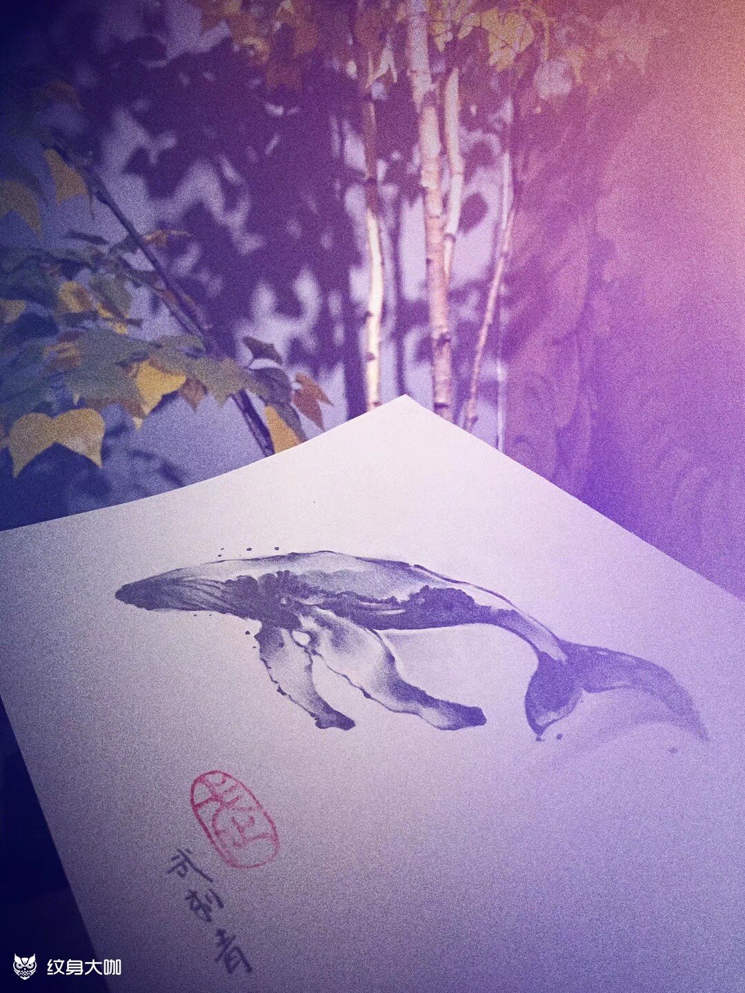 鲲_纹身图案手稿图片_伍六七tattoo--十三的纹身作品集