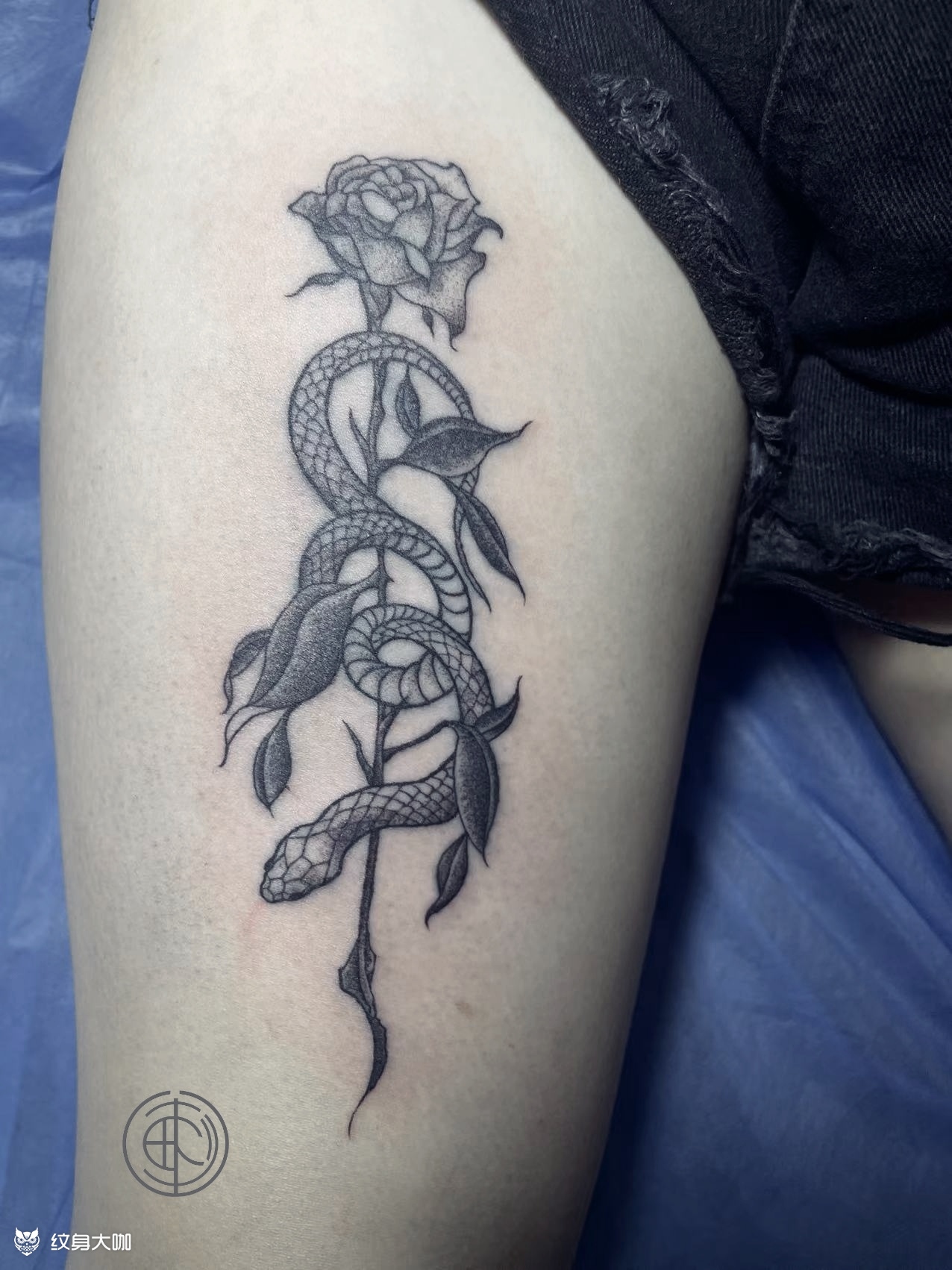 蛇盘玫瑰_纹身图案手稿图片_画刺人的纹身作品集