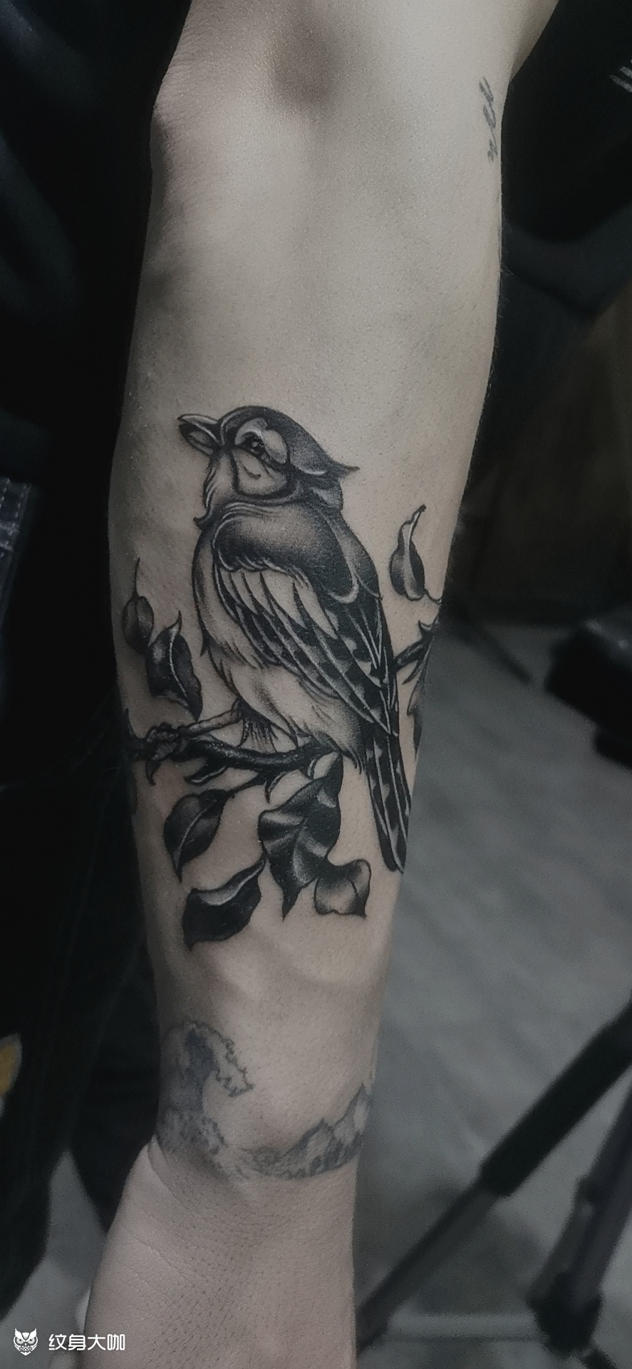 小鸟_纹身图案手稿图片_匠一 东东的纹身作品集