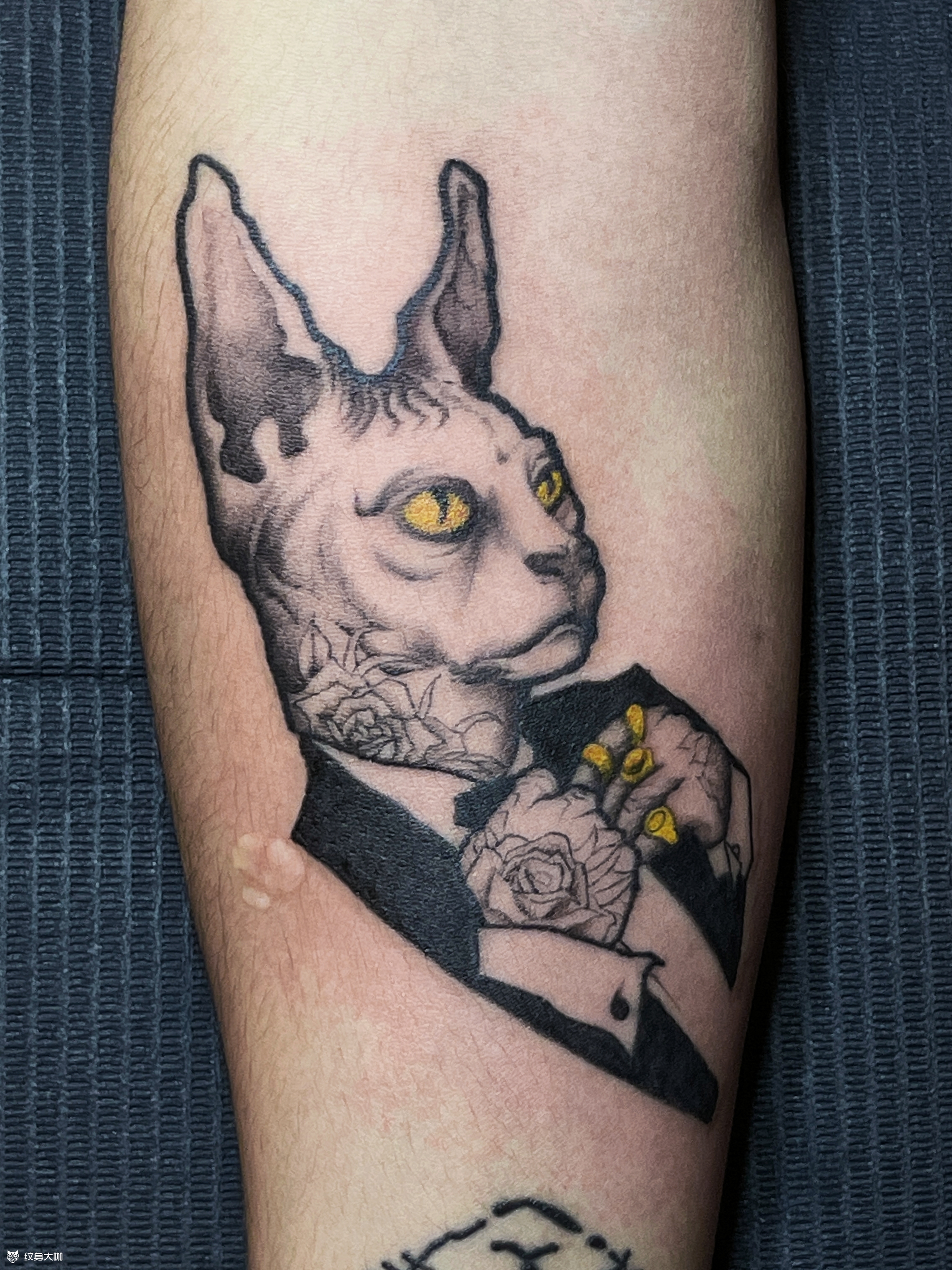 斯芬克斯猫_纹身图案手稿图片_罗世豪的纹身作品集