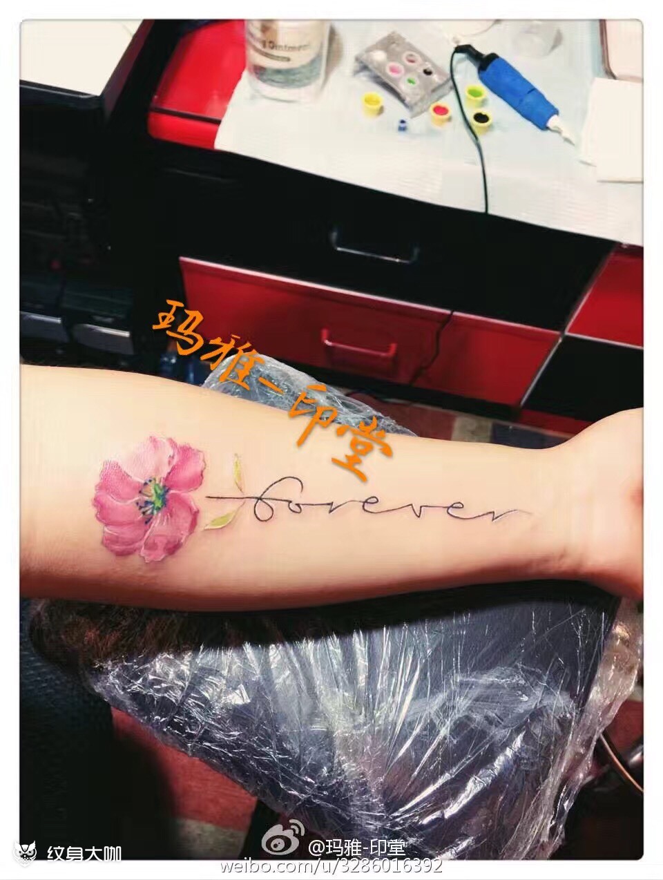 罂粟花 女生小臂内侧_纹身图案手稿图片_玛雅-印堂的纹身作品集