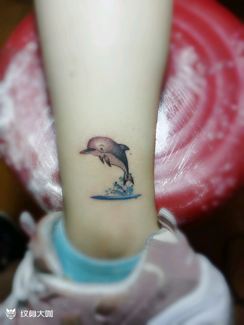 小清新海豚98_纹身图案手稿图片_霄毅的纹身作品集