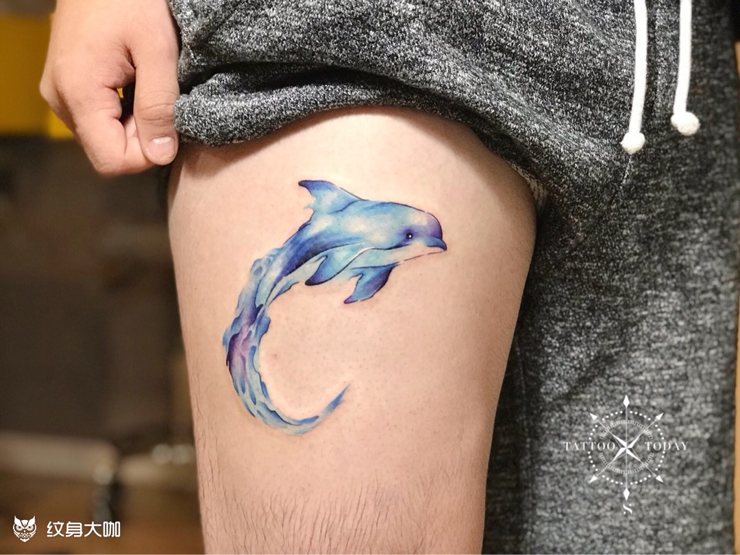 愉悦的海豚_纹身图案手稿图片_希希的纹身作品集