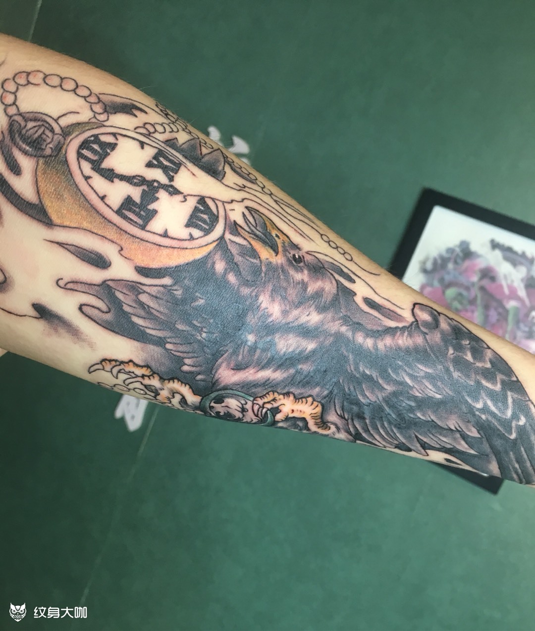 乌鸦遮盖_纹身图案手稿图片_你好99我叫大宝的纹身作品集