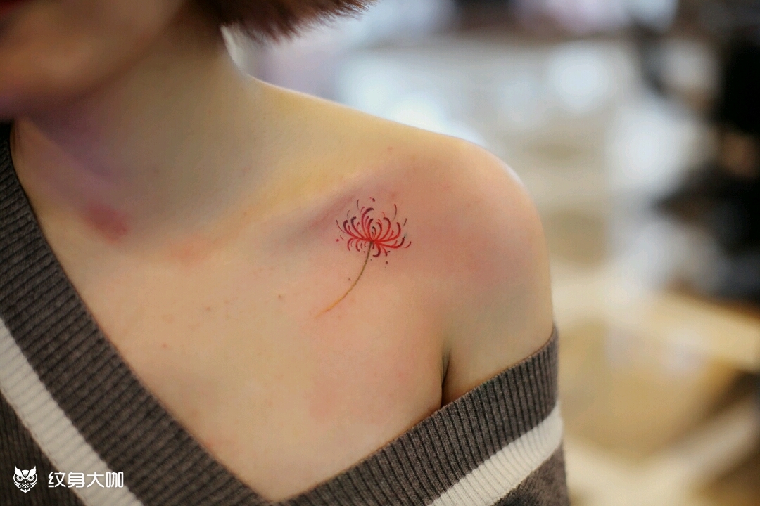 彼岸花_纹身图案手稿图片_叁柒社-mr.叁的纹身作品集