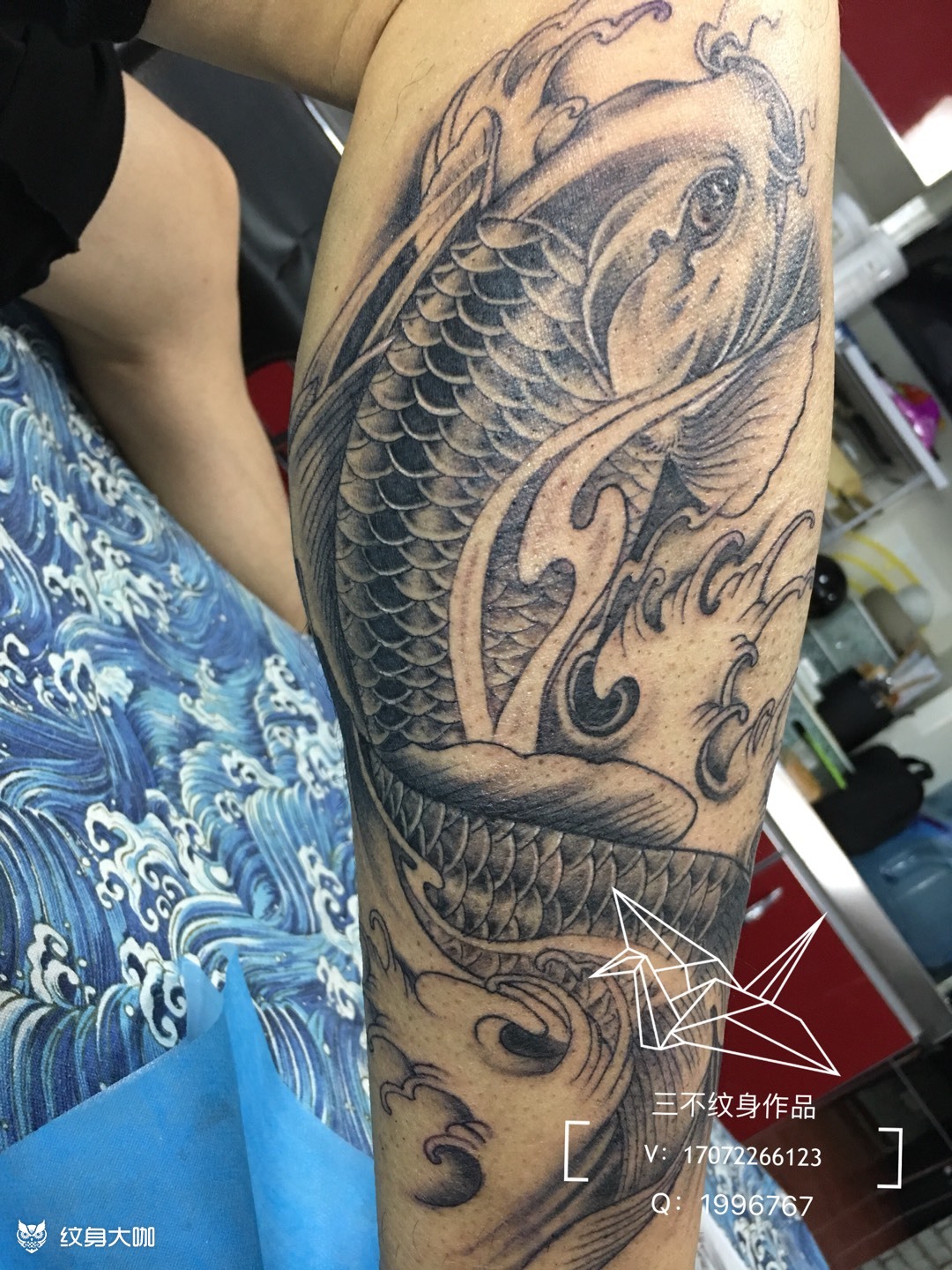 小腿鲤鱼_纹身图案手稿图片_红尘的纹身作品集