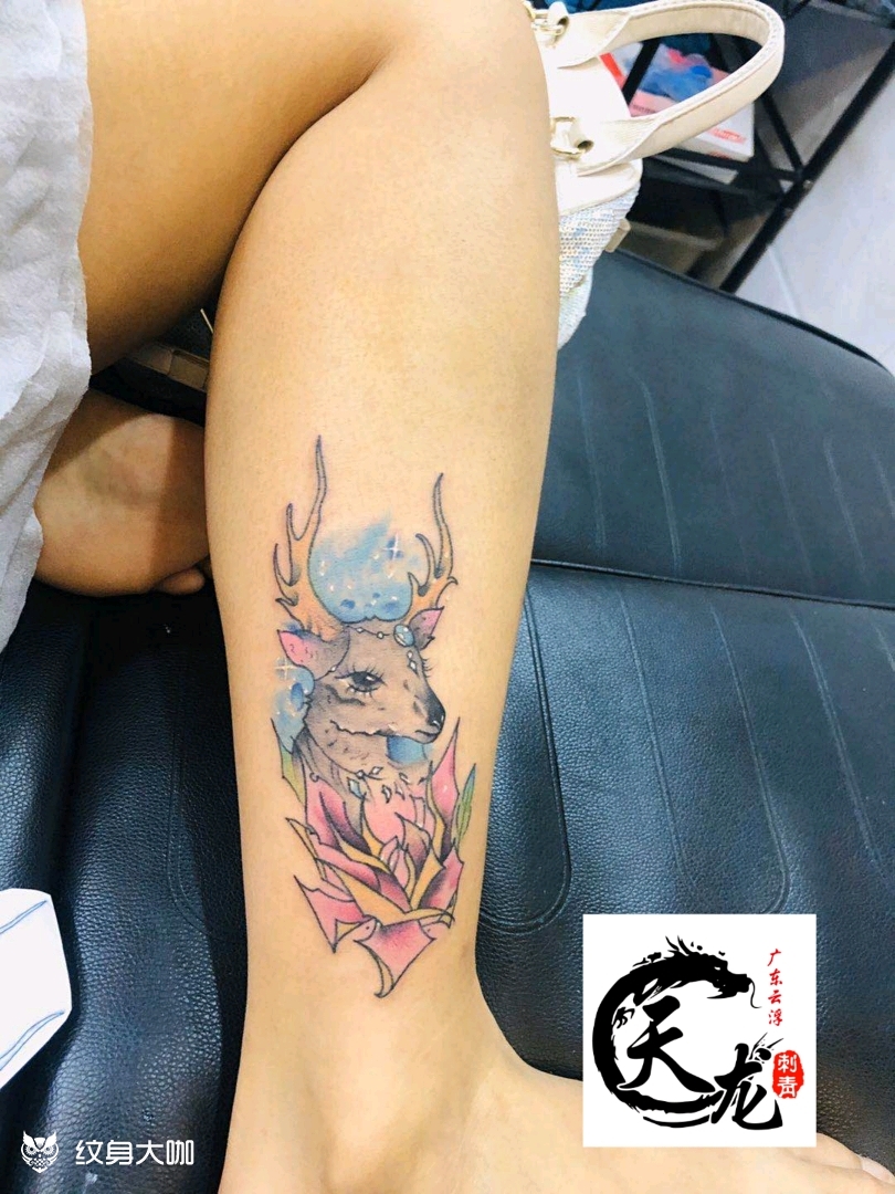 彩色小鹿_纹身图案手稿图片_肖丰的纹身作品集