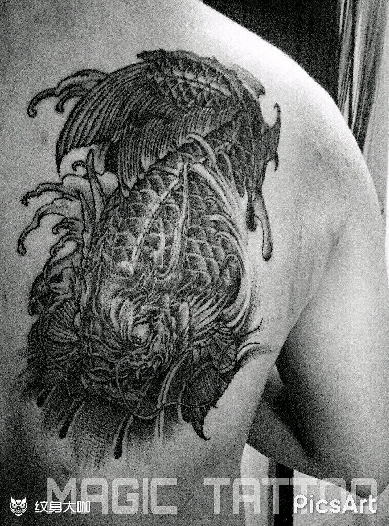 鱼化龙_纹身图案手稿图片_jason的纹身作品集