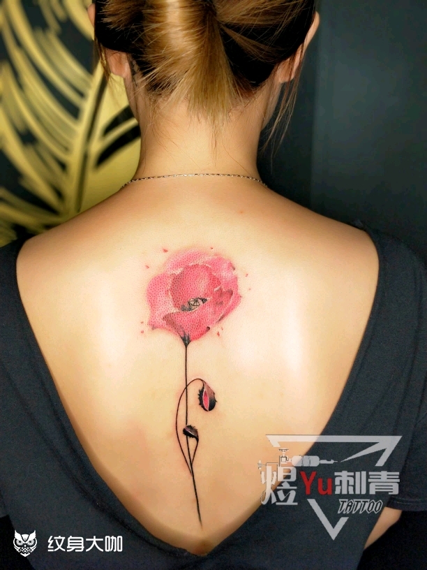 罂粟花_纹身图案手稿图片_甯 煜城 的纹身作品集