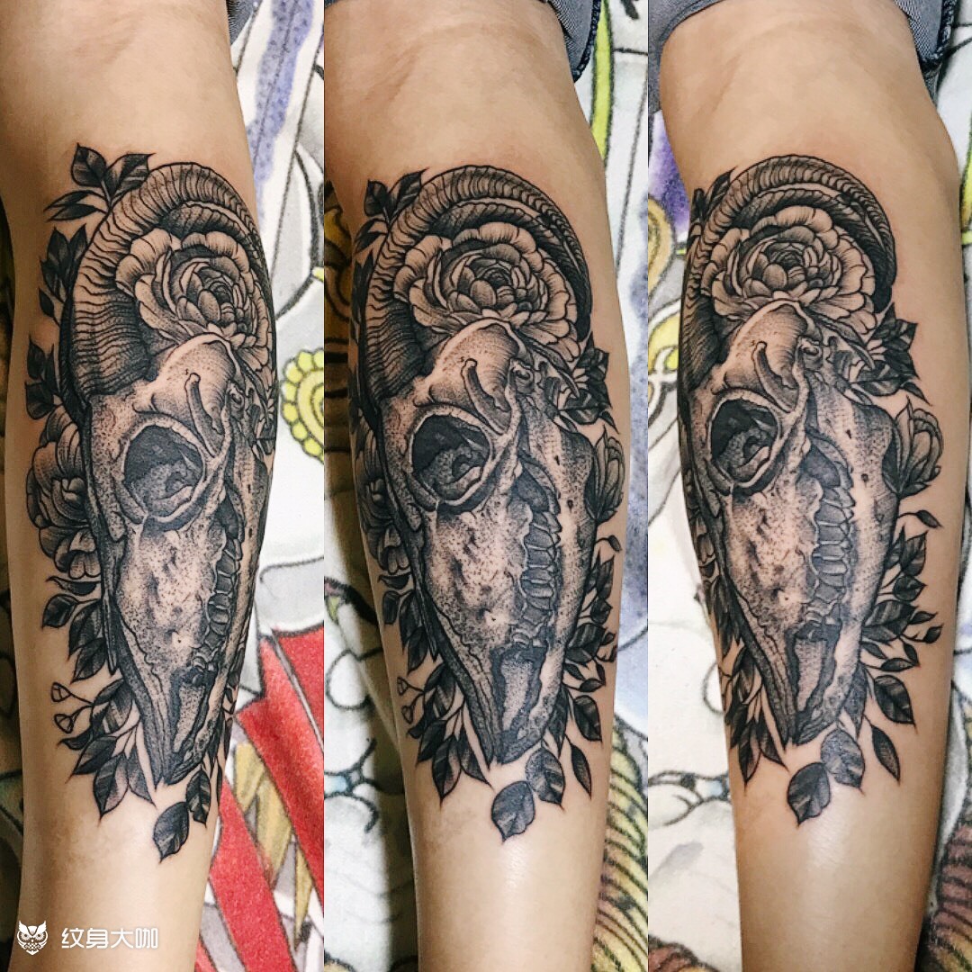 羊头_纹身图案手稿图片_祎祎的纹身作品集
