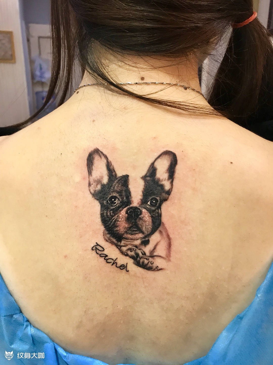 法斗_纹身图案手稿图片_章利兵的纹身作品集