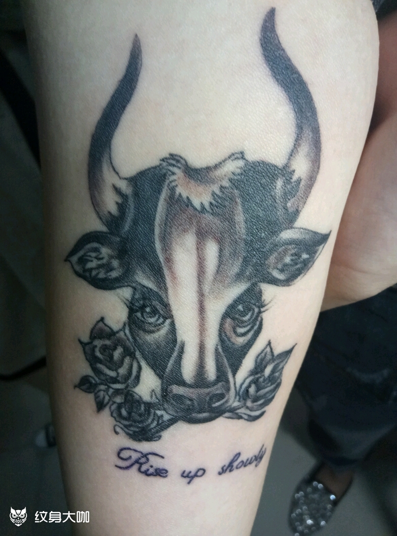 欧美牛_纹身图案手稿图片_韩康的纹身作品集