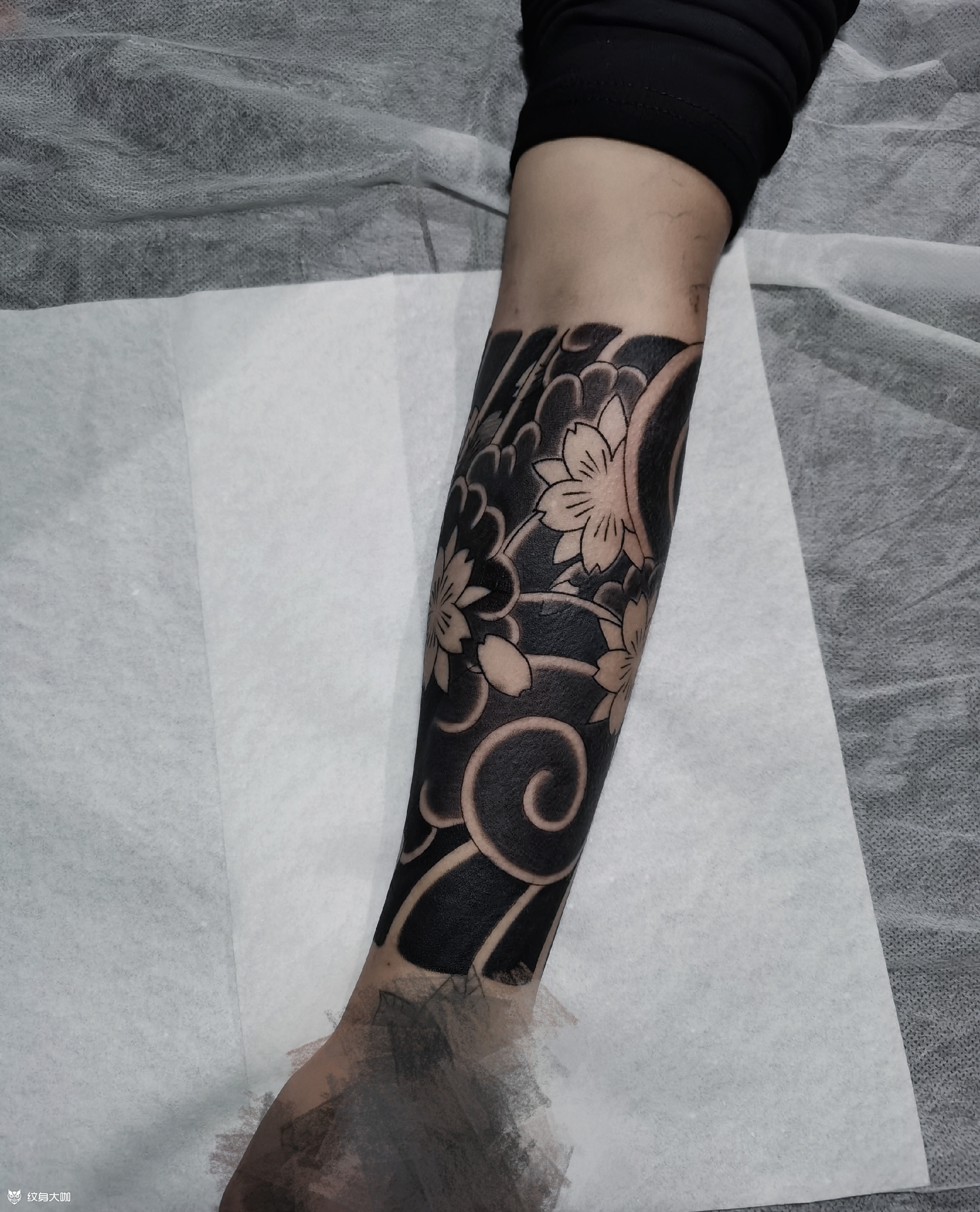 樱花臂_纹身图案手稿图片_刘丽新的纹身作品集