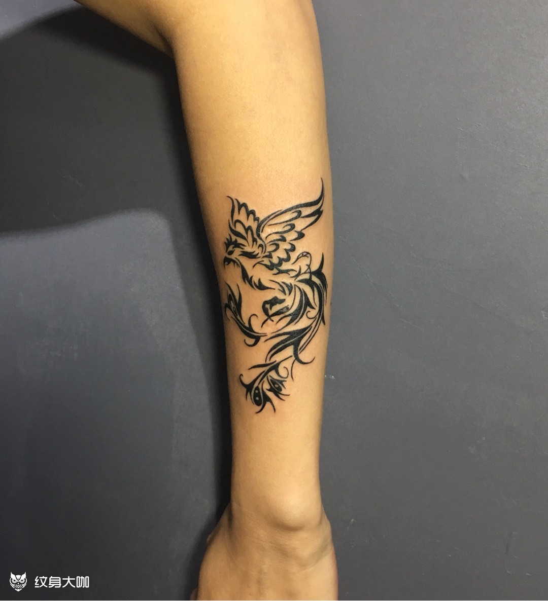 遮盖凤凰_纹身图案手稿图片_yzrrrrr的纹身作品集