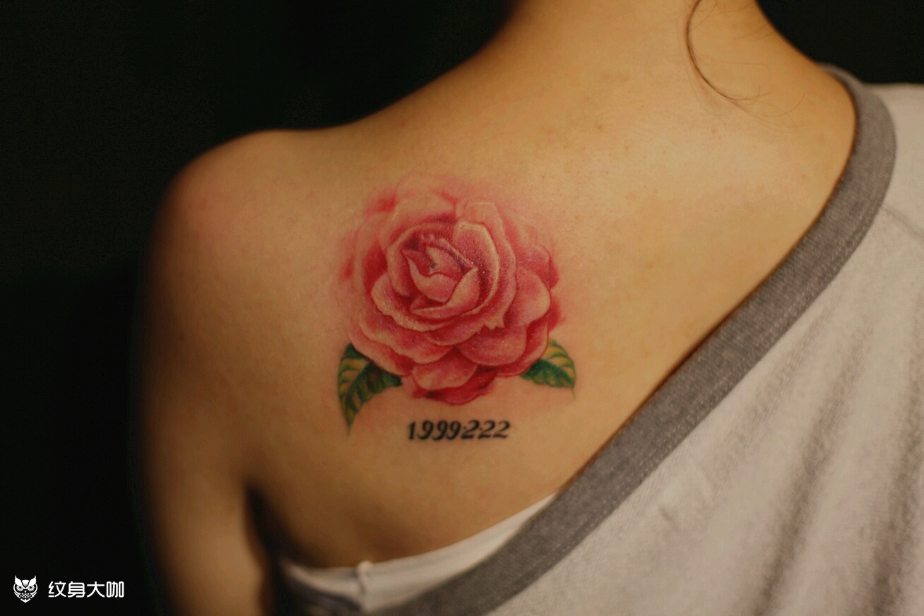 山茶花_纹身图案手稿图片_张福的纹身作品集