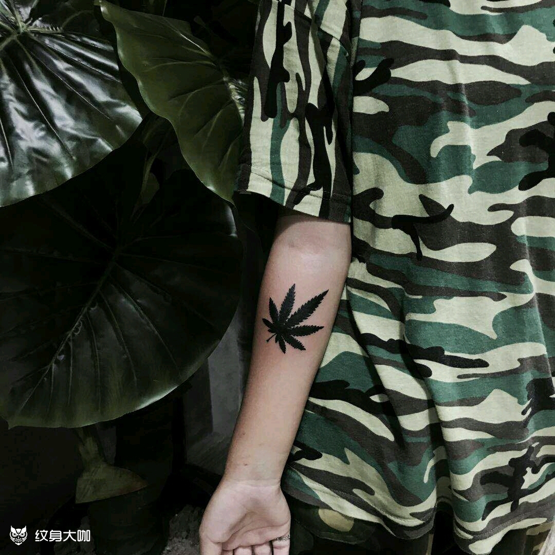 大麻烟叶_纹身图案手稿图片_778的纹身作品集