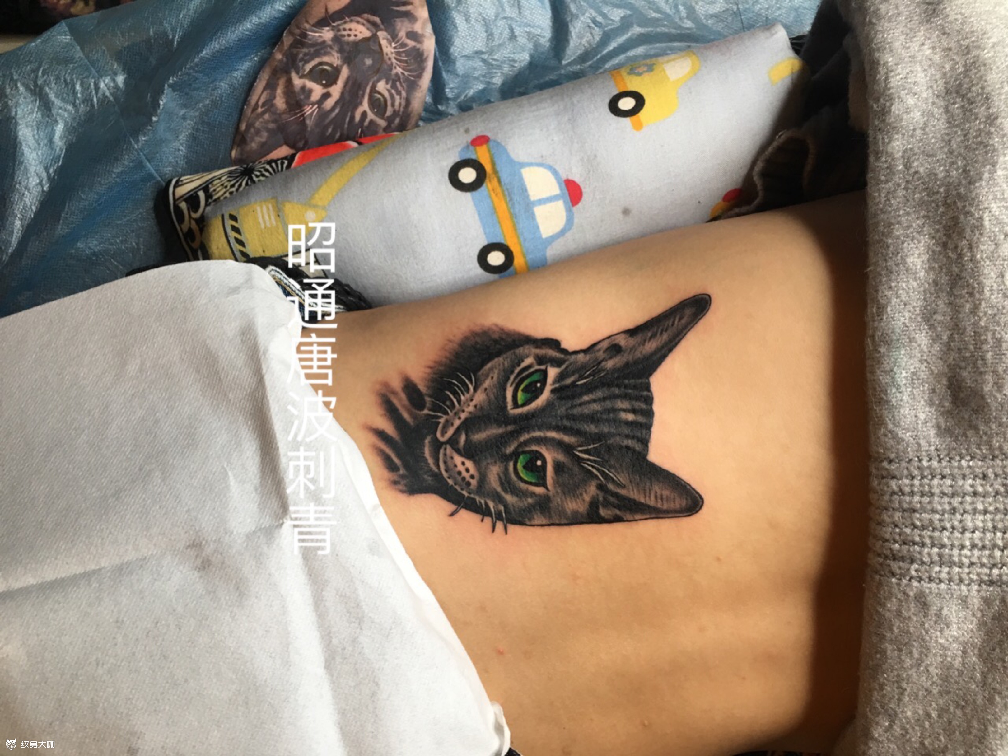 猫头_纹身图案手稿图片_唐波的纹身作品集