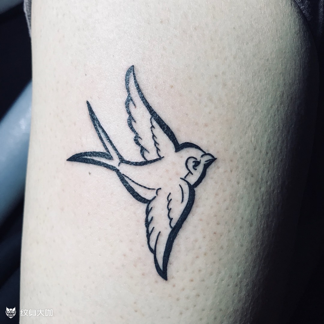 燕子_纹身图案手稿图片_黑马tattoo的纹身作品集