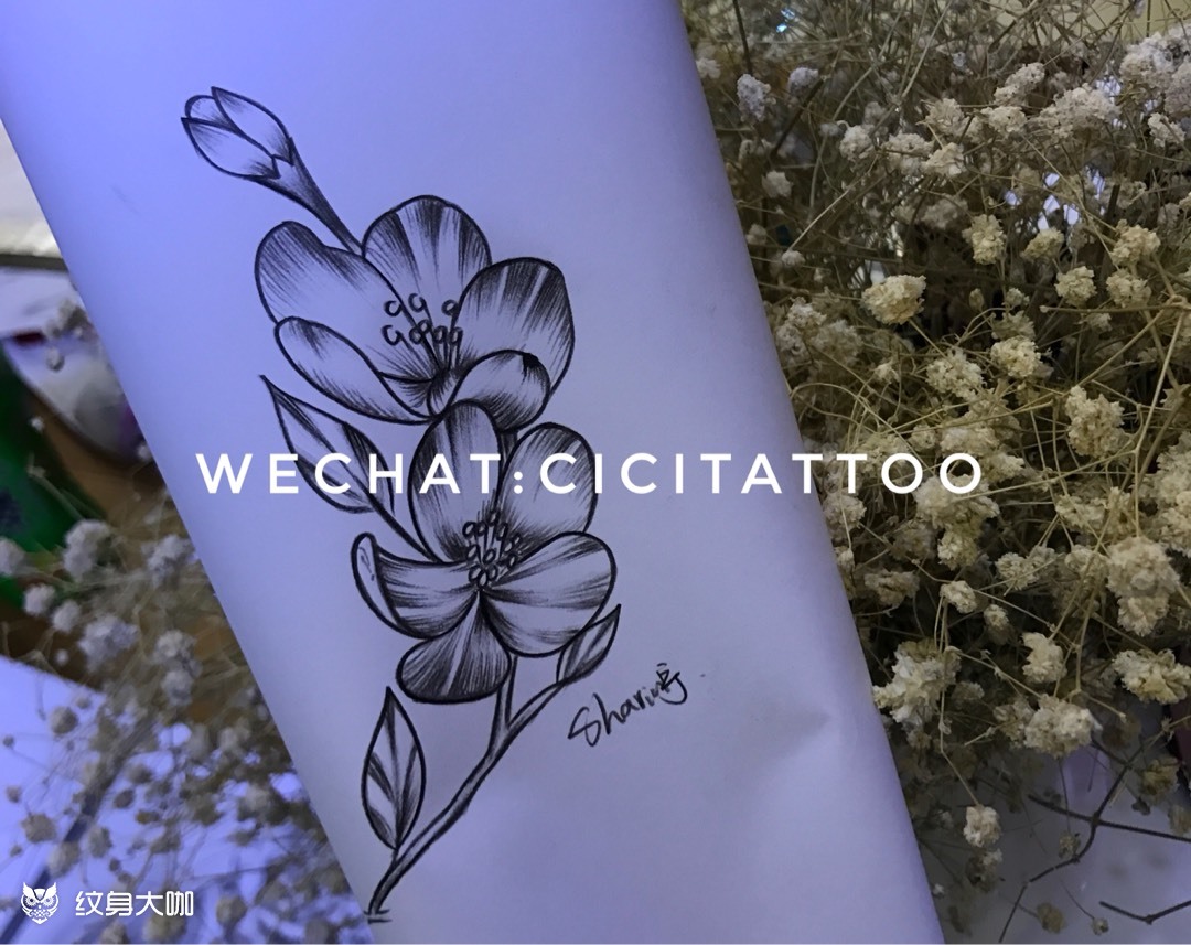 海棠花_纹身图案手稿图片_广州灵艺刺道的纹身作品集