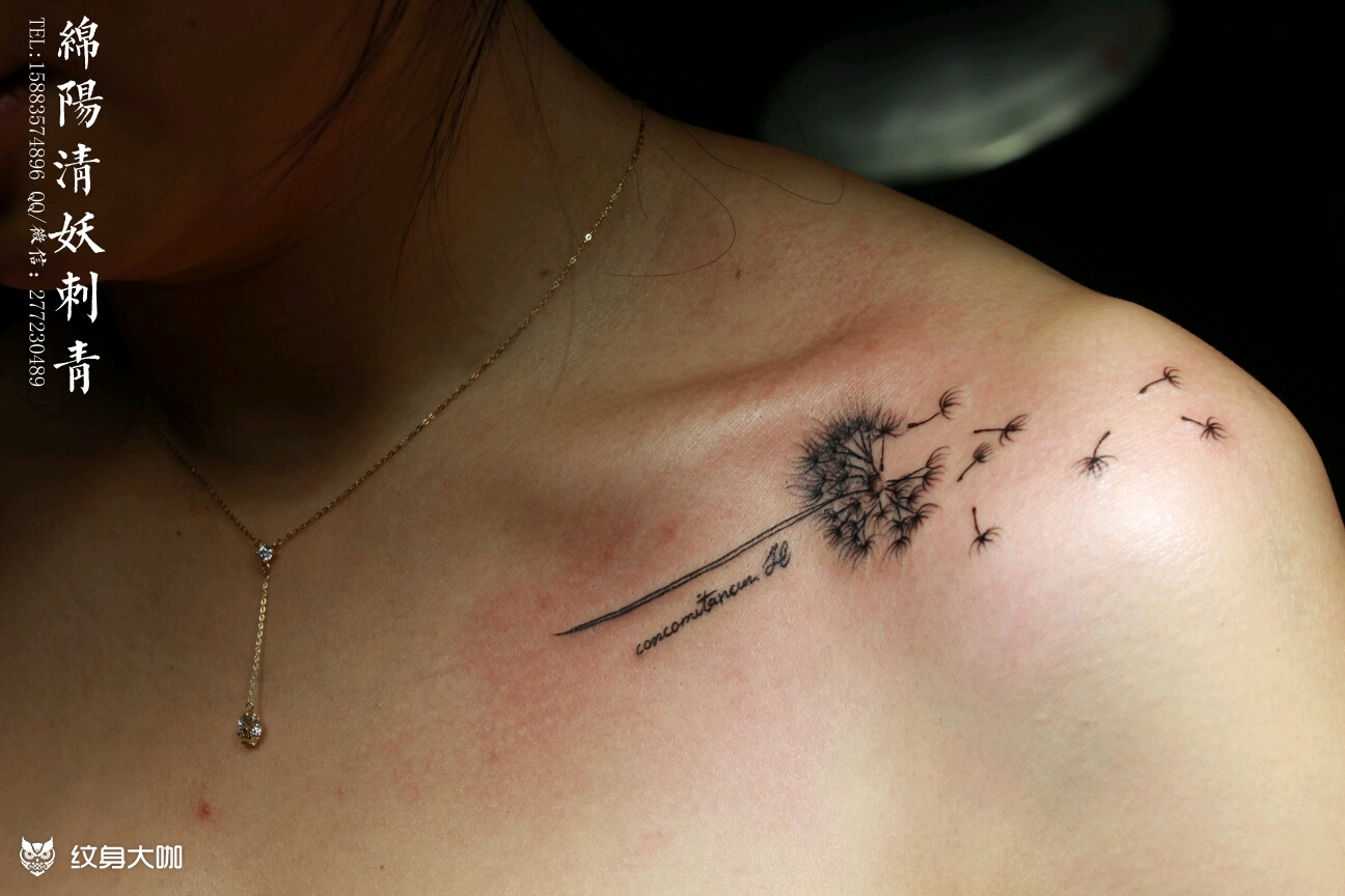 蒲公英_纹身图案手稿图片_李中杨的纹身作品集