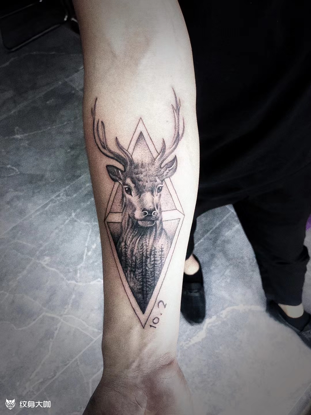 生财有鹿_纹身图案手稿图片_极一龙的纹身作品集