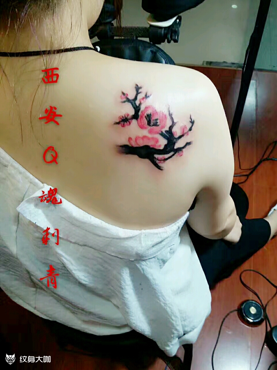 肩部水彩梅花_纹身图案手稿图片_贾敏娜的纹身作品集