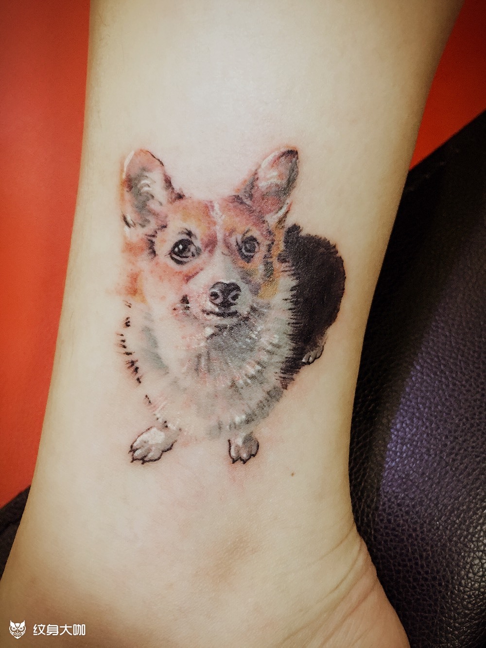 柯基_纹身图案手稿图片_张迪的纹身作品集