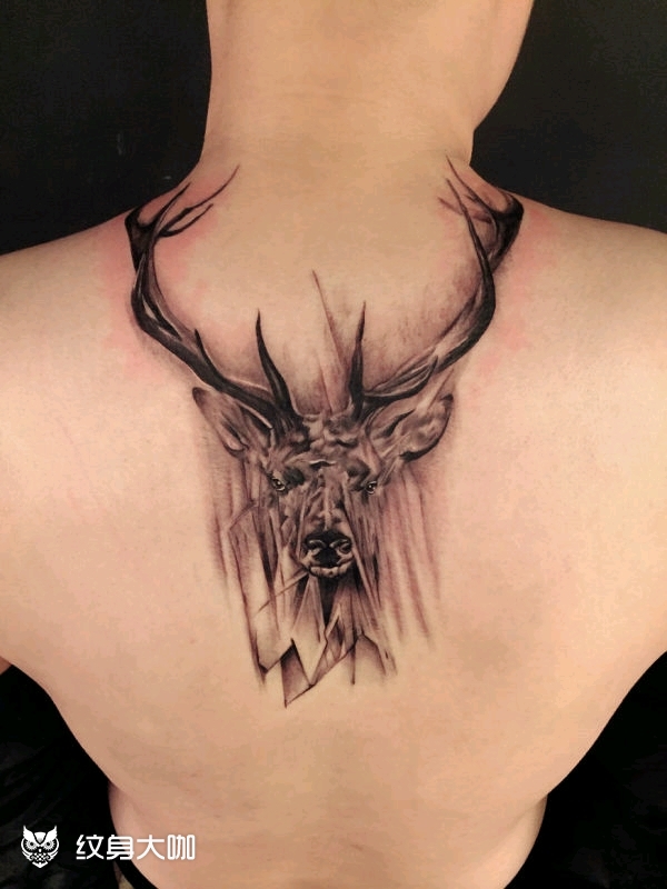 蛮喜欢的,蛮喜欢鹿,关键是鹿角_纹身吧社区 - 纹身大咖
