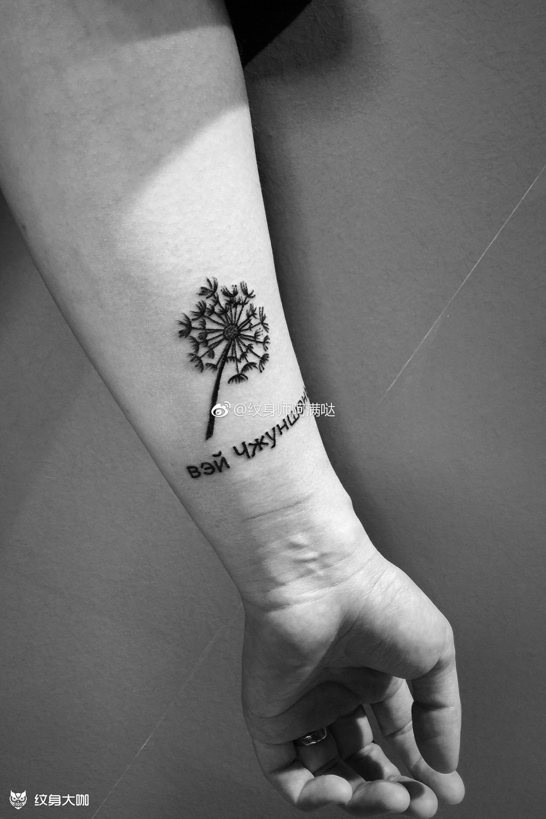 蒲公英_纹身图案手稿图片_满子,的纹身作品集