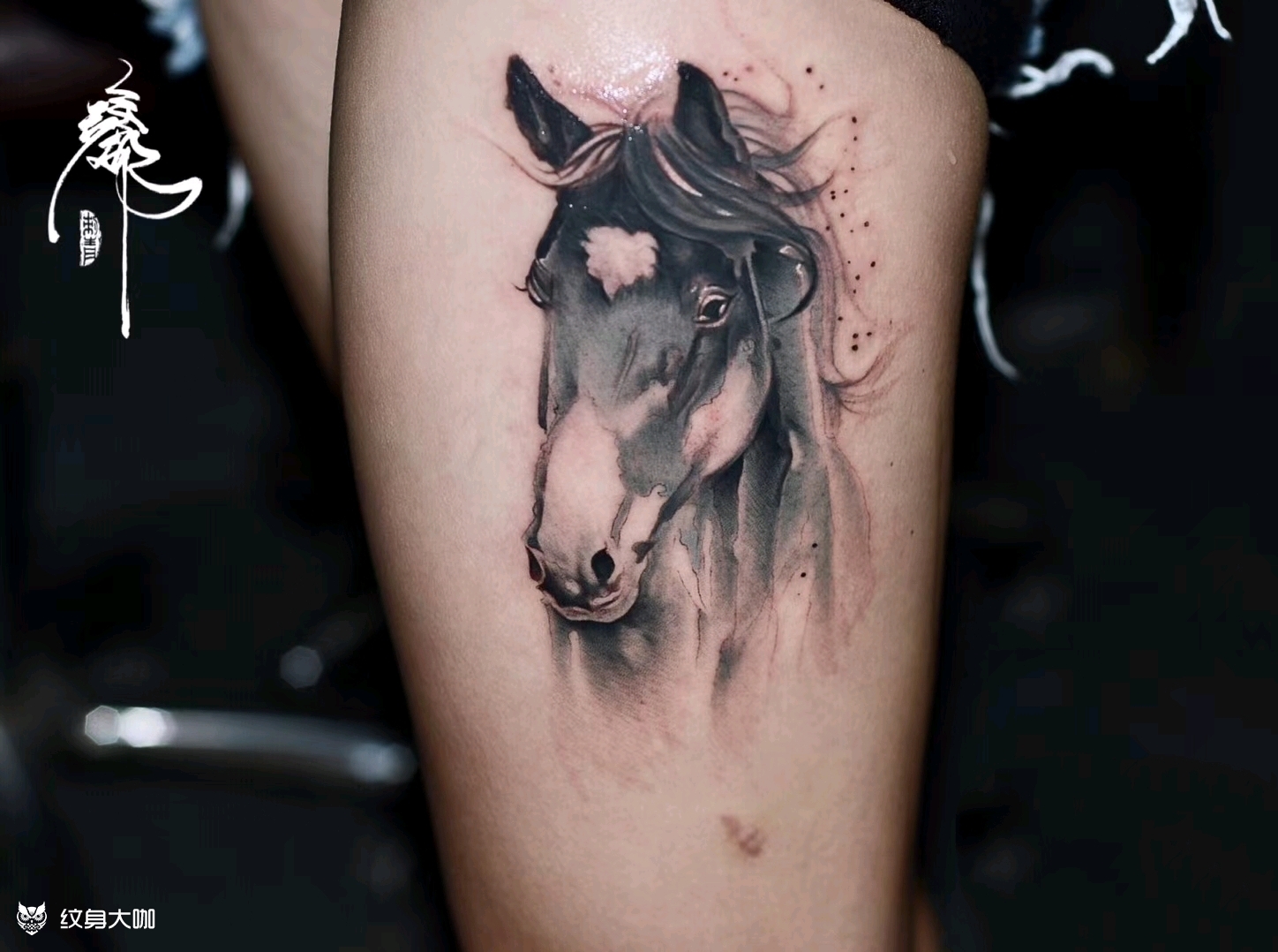 马到成功_纹身图案手稿图片_刘步的纹身作品集