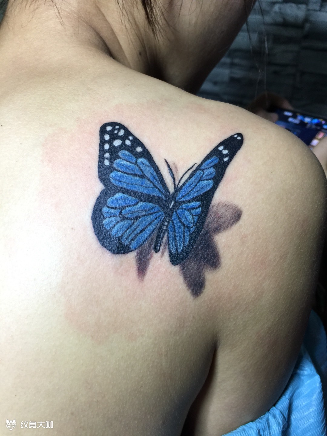 3d蝴蝶_纹身图案手稿图片_亮哥的纹身作品集