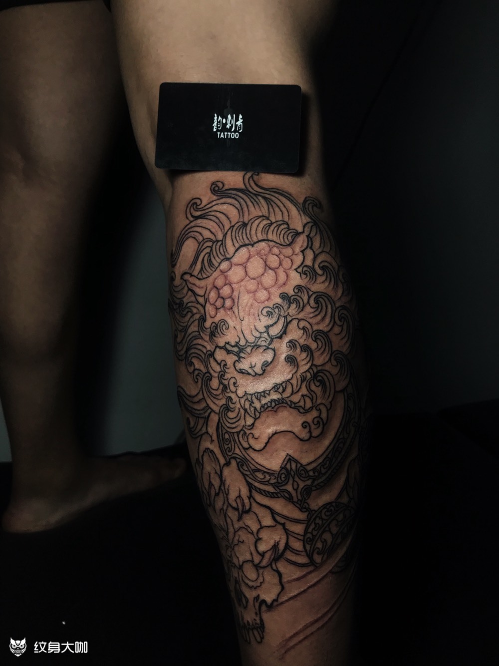 唐狮包小腿_纹身图案手稿图片_淄博tatto哥哥的纹身作品集
